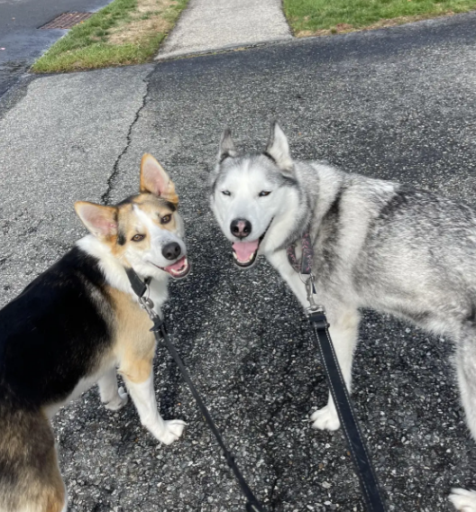 Milo and Snowy